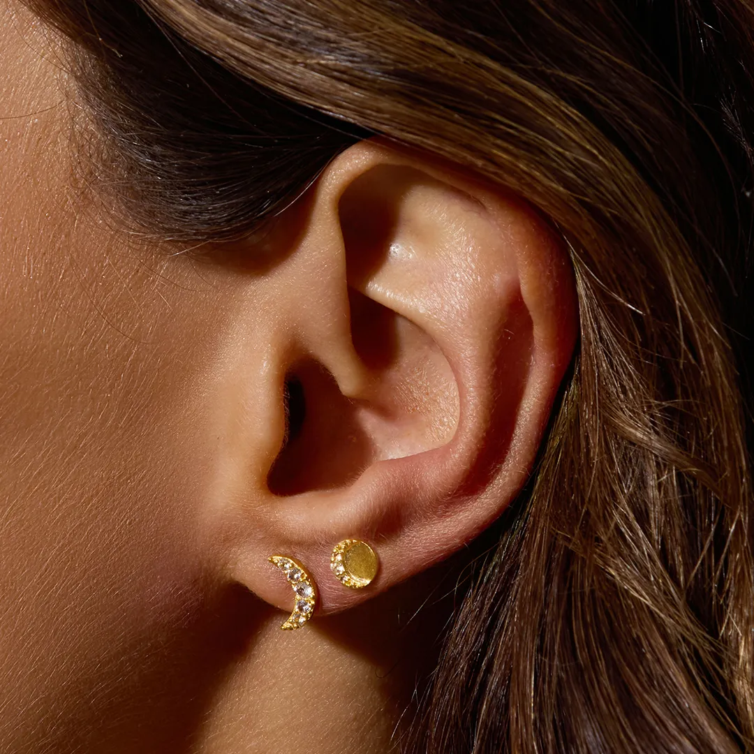 Bask in Beauty Earrings